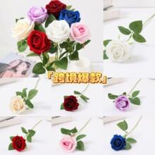 ���滨 �q��õ�� ���˹� ���� õ���ٲ� �b� �����ռt���{ �羳
