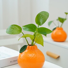 �մɷ������ӻ�ƿ�Bˮ�G�jˮ�໨��Ҿ����[�b[�����ֵ��@�L