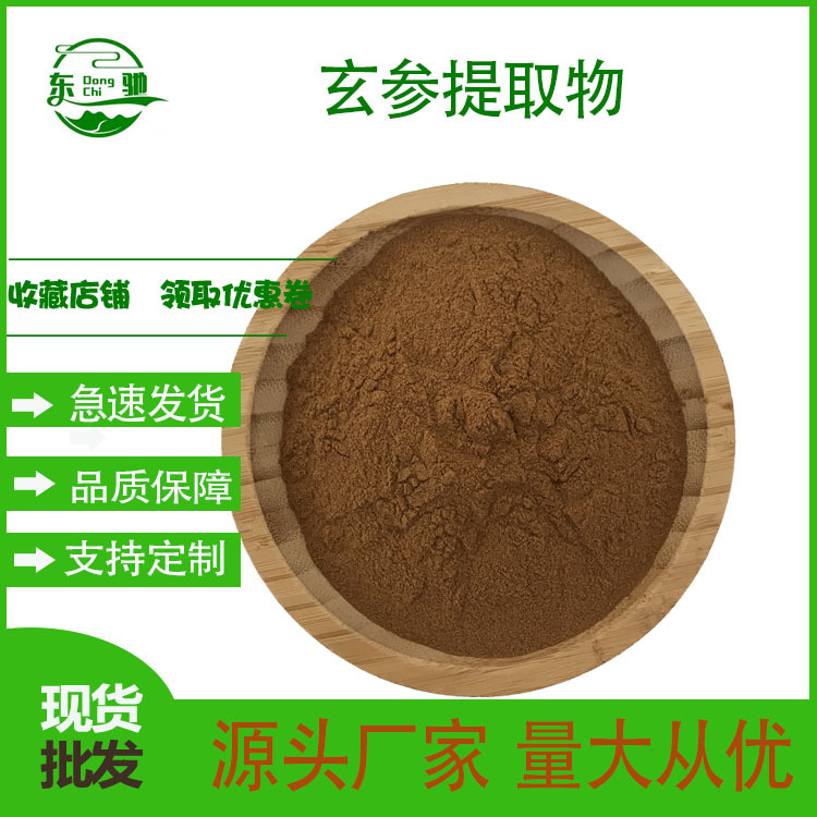 玄参提取物  玄参粉 玄参皂苷 比例提取物 东驰供应  现货