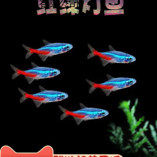 ���R�~�t�G�����~�Ꭷ��ˮ�^�p��ʹ����С�͌�ɏ��Ⱥ���~