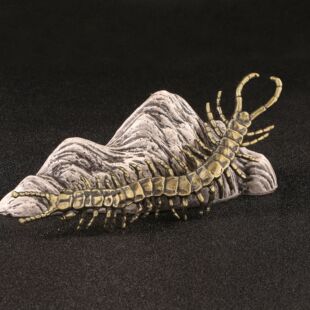 �¹Ŷ����f�����x���������ǧ���x������S�~�[���b�ˇƷ�ղ�