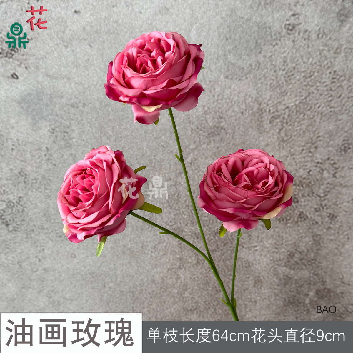 유화 장미 BAO 마젠타 핑크