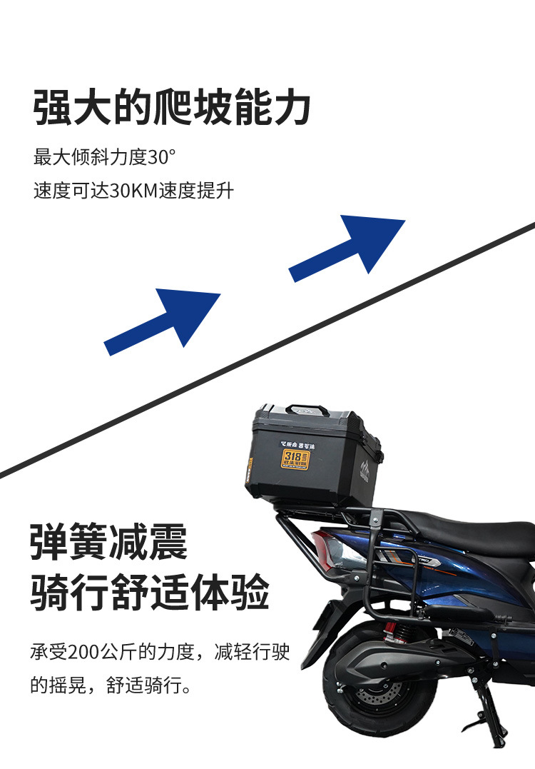 Bumblebee Electric Motorcycle High-Power Climbing King Long Range