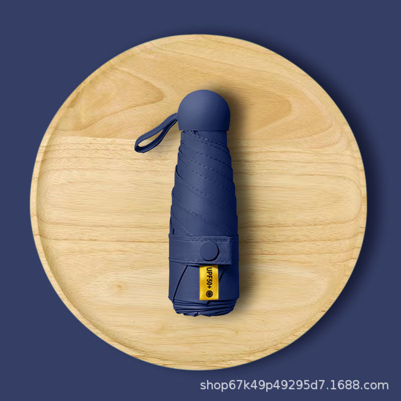 [네이비] 5 배 6 뼈 전체 음영