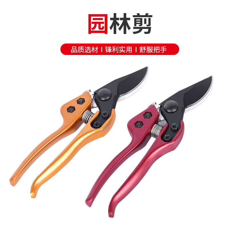 供应V12果枝剪 修枝剪果树采摘剪果树园林剪 花艺剪园林工具批发