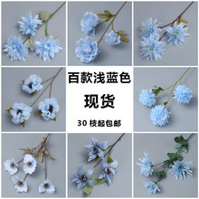 ��c���\�{ɫ���ŵ���b���õ��ĵ���{ɫ��Y·�������ٻ�