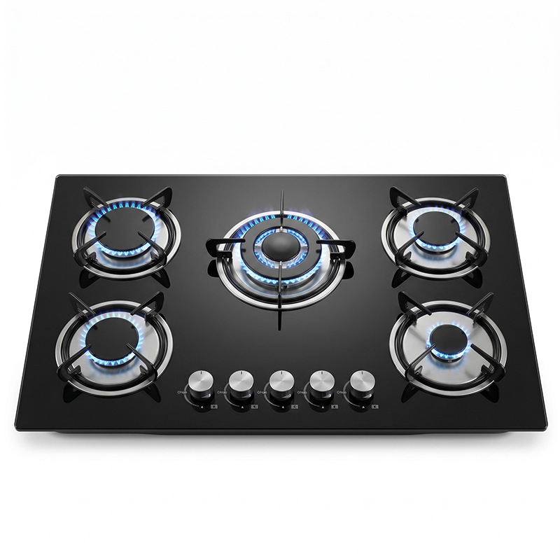 국경 간 전용 공급 |   대외 무역 가정용 5구 가스레인지 사바브 버너 액화 가스 가스레인지