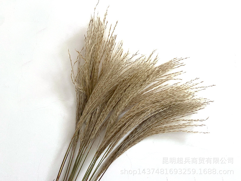 QQ图片20211106150832.jpg