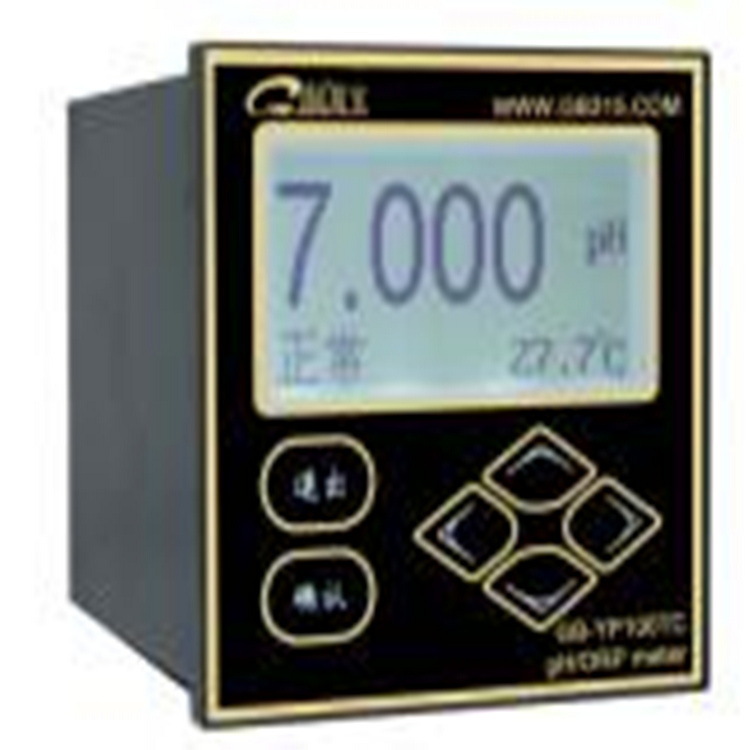 工业在线pH/ORP计 型号:GB-YP100TC*PH-100库号：M377036