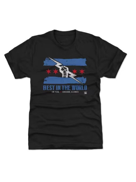 2025 夏メンズ 3D プリントレスラー CM パンク Tシャツストリートスポーツ快適なアウトドアフィットネス速乾性半袖|undefined