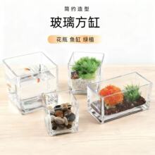 方缸水培器皿花瓶摆件 郁金香绿萝玻璃缸花盆迷你多肉 蜡烛杯烛台
