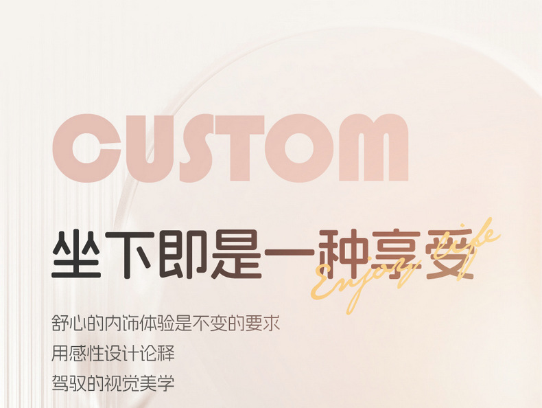 2024 Zero Run T03 Special Car Seat Cover 200 Light Enjoy Edition 310 Enjoy Zero Run t03 Four Seasons Full Package Cushion