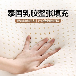 Latex Mattress Upholstery Bedroom Tatami Sponge Mat Mattress Dormitory Student Single Floor Shop for Rental Housing