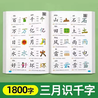 象形识字书儿童认字卡片早教启蒙幼儿园大班看图识字神器宝宝认知