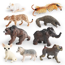 跨境仿真野生动物灰狼花豹穿山甲洞熊猛犸象山魈老鼠儿童认知摆件