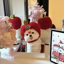 ���˹������������ɐ���ż�R����˹����̩�ϔ[����Ů�������նY��