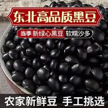 黑豆农家自种老品种绿芯黑小豆醋泡煮粥打豆浆发豆芽五谷杂粮豆子