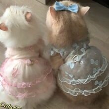 �����·�؈����ľW��ȹ��Ů����ȹ�Ӊ��ñ���͸�����ëȮ؈����