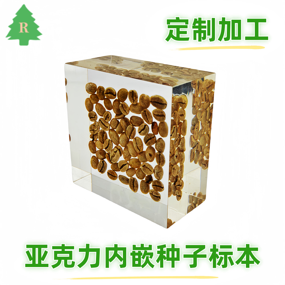 水晶胶内埋植物种子标本，亚克力内埋学习，树脂摆件种子水晶胶