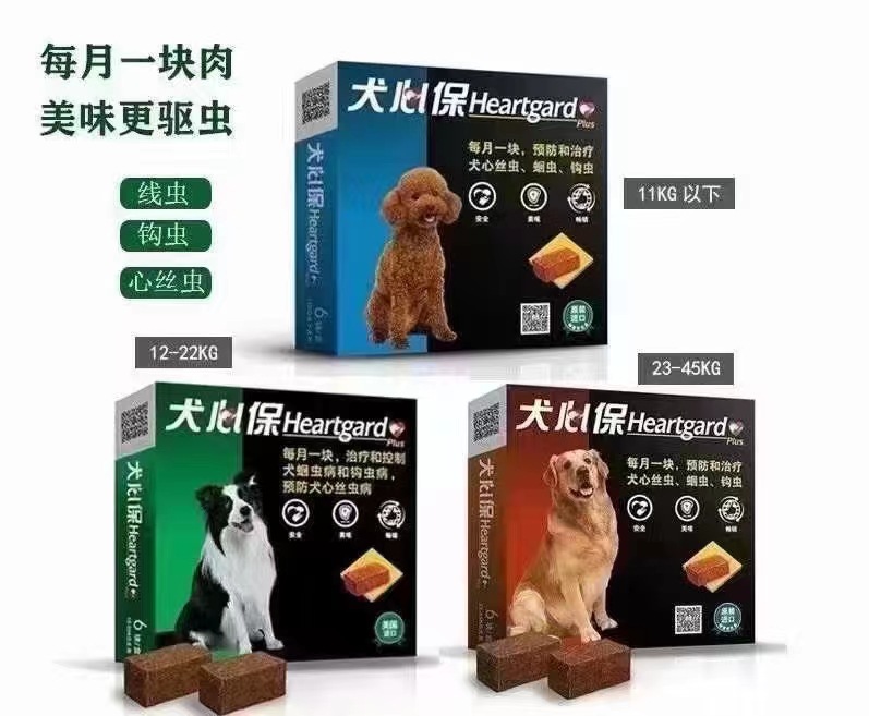 犬心保