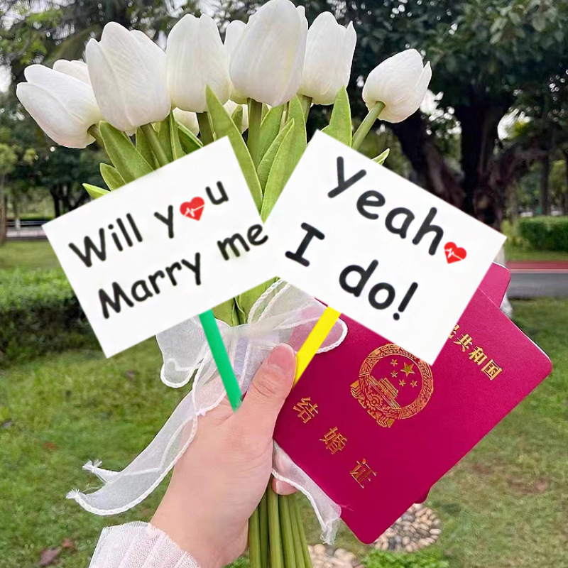 Proof certificate registration photo props tools posing magic handheld ceremony items following small items wedding good items