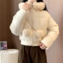 高领连帽立领新款棉服