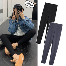 鲨鱼裤女打底裤外穿夏季春秋加绒高腰收腹瑜伽芭比裤一件代发特价
