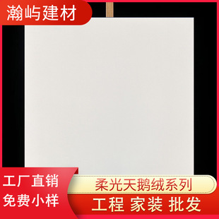 wɴu600x600͏dɫZqشu800x800¹Ŵu