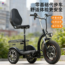 电动三轮车;其他电动车;电动代步车