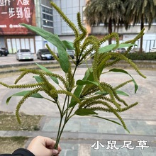 �¿�Gɫ�~β���S�� С��β�� ��ɫëë�x��c�����������ٻ����l