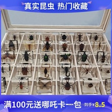 �ƌW������׽̄���˱���֬���x�˱����xϐ��֩���ռ{�жY�а��b