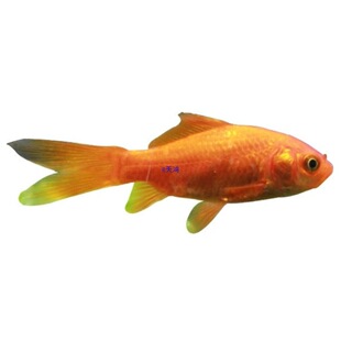 �^�p�~�ݽ��~���~���~����С�~���~��ˮ��ˮ�����~���B�ͻ�����~