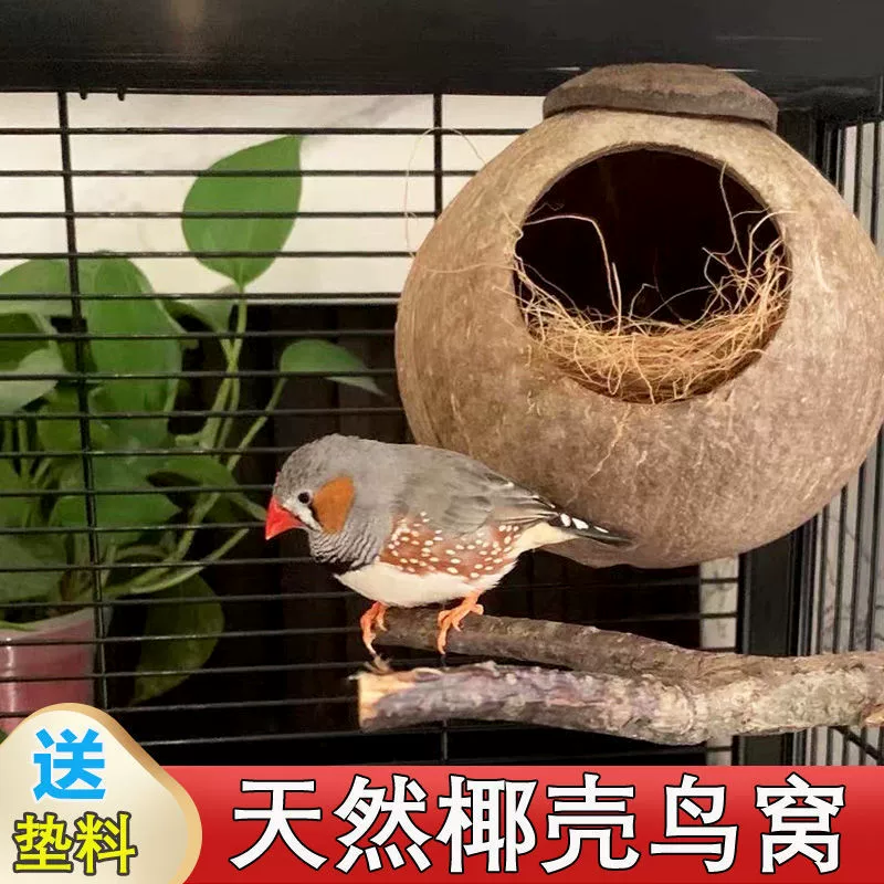 Кошачья шкура, кокосовая скорлупа, птичье гнездо, пион, черный феникс, птица, жемчуг, кокосовая скорлупа, гнездо, птичье гнездо, кокосовый шелк, теплое тканое гнездо, завод по производству игрушек для птиц