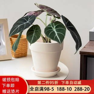���W�����ڏ������Lins�O���͏d��ذ��վGֲ����������ɫ