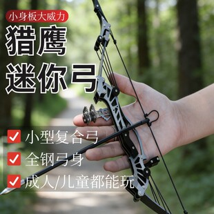�C�����㷴�����ͺϹ������˃�ͯ���������P�С�͹����羳���N