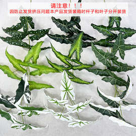 新品5叉大海芋仿真绿植酒店商场家居庭院装饰绿植叶子植物批发