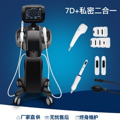 外国貿易クロスボーダー垂直 7D RF マイクロニードルプライベートツーインワン 7DHIFU + VAGTT マンティスナイフダブル逆波メーカー