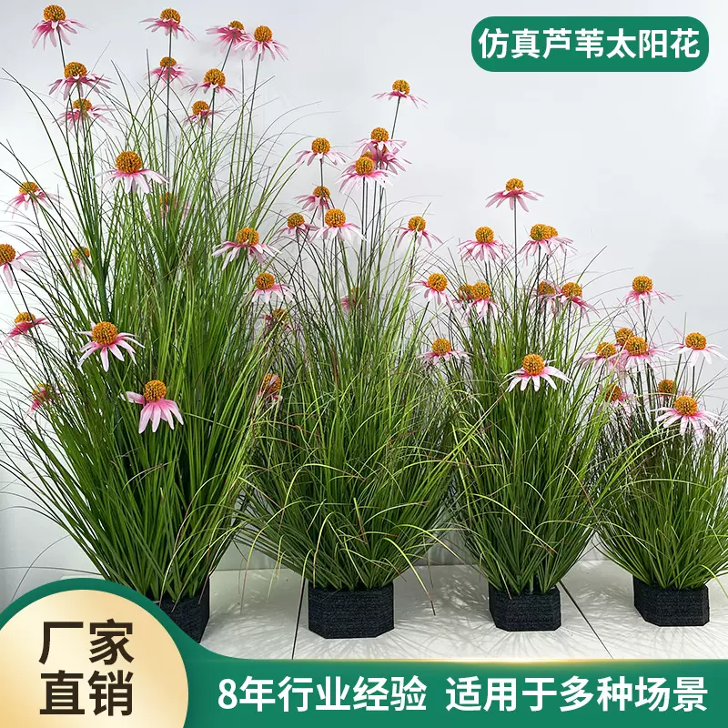 仿真芦苇单支太阳花室内ins风装饰造景假花北欧橱窗布置装饰植物