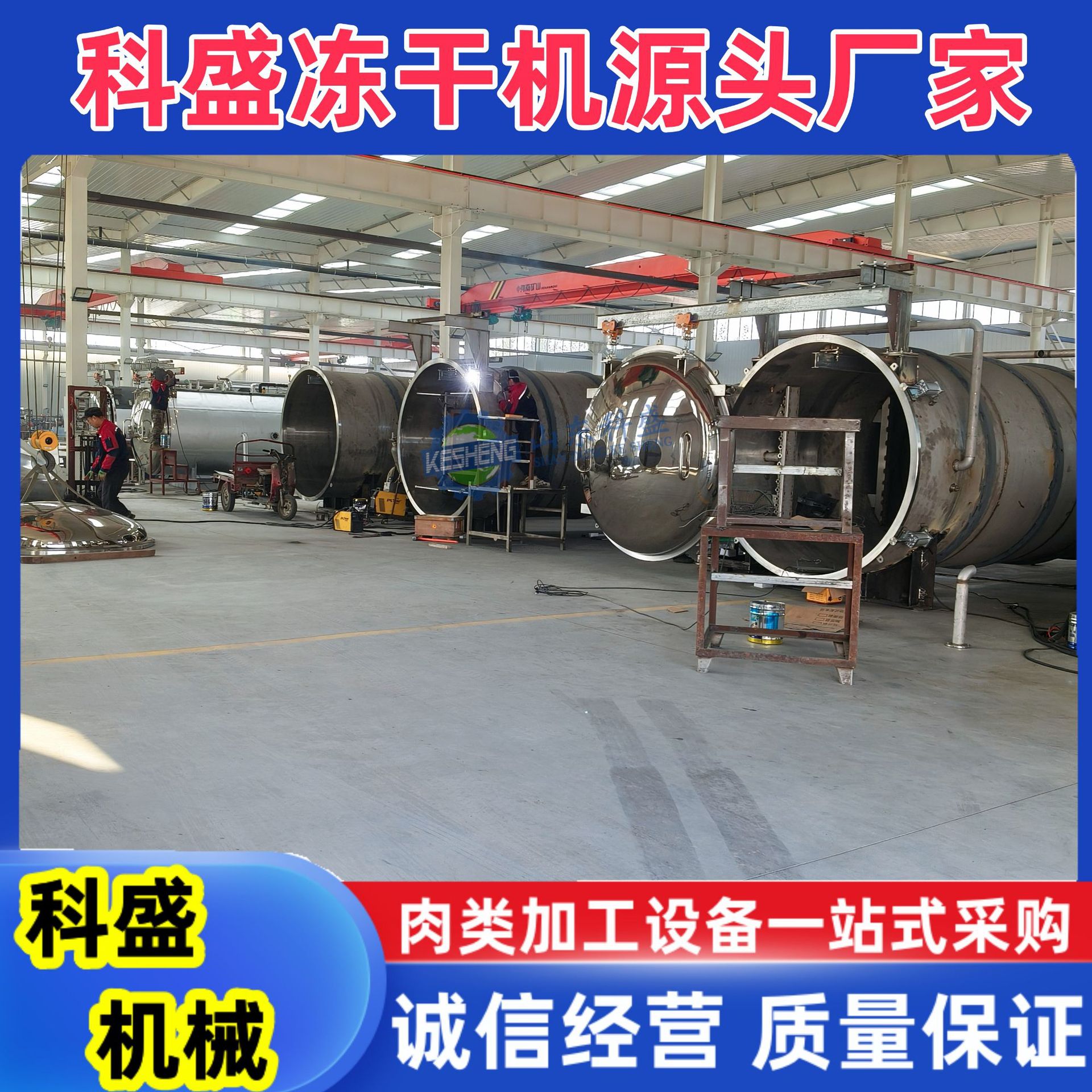 真空冻干机 栀子花茉莉花冻干机 枸杞锁鲜机