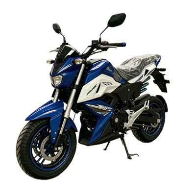 Capacity for Long-Distance Commuting, Motosikletlər