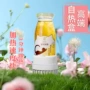 旋转自热温度一次性底座