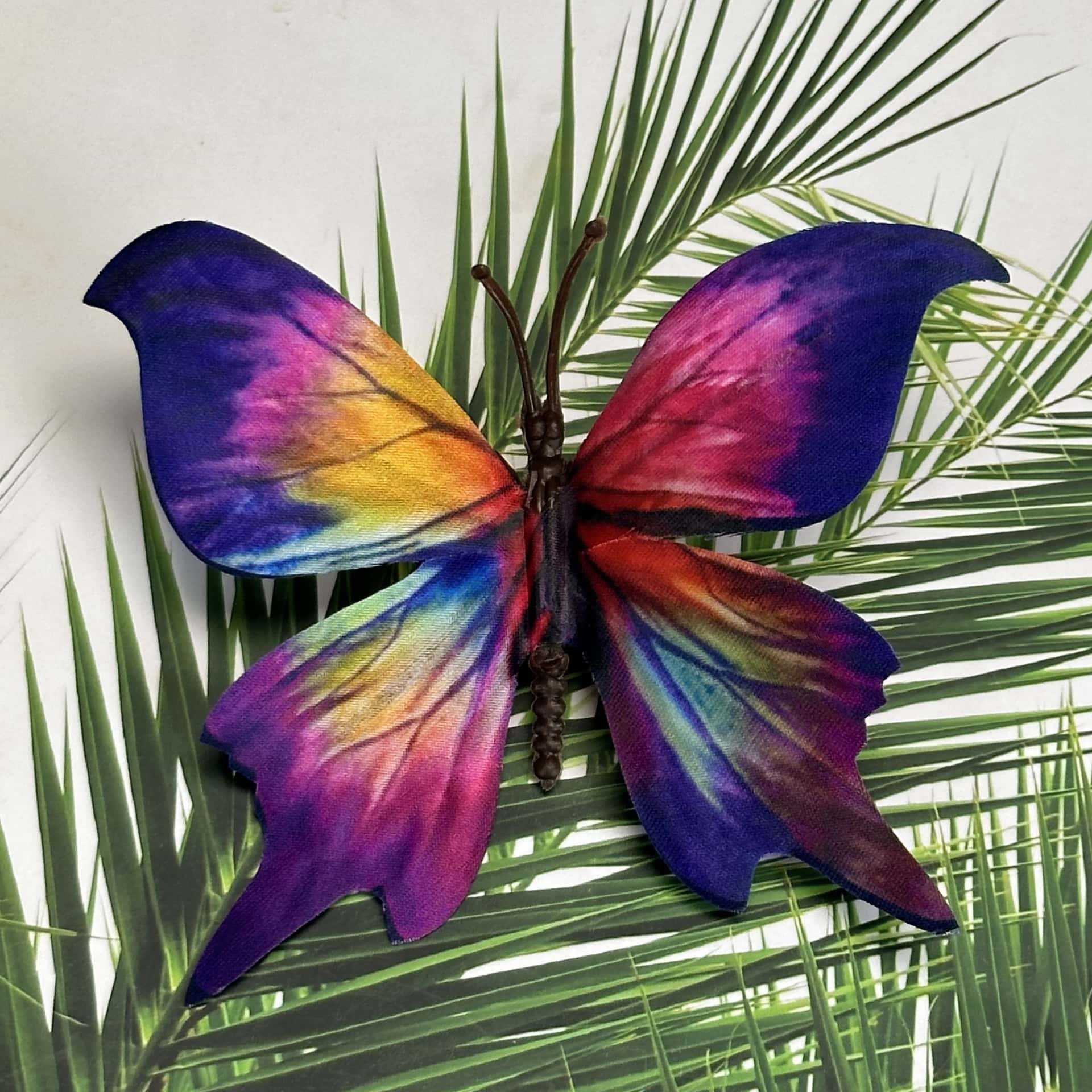 Seda 11CM color mariposa talla grande 34