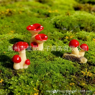 ̦�\΢���^�ɐ۶��⻨��Ģ���@ˇ�쾰����܇�d����[̨diy�b���