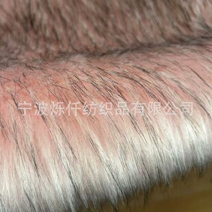 �F؛ ����ë2600�� ����ë