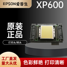 现货原装XP600喷头 爱普生新五代XP600 9代11代 UV平板写真机喷头