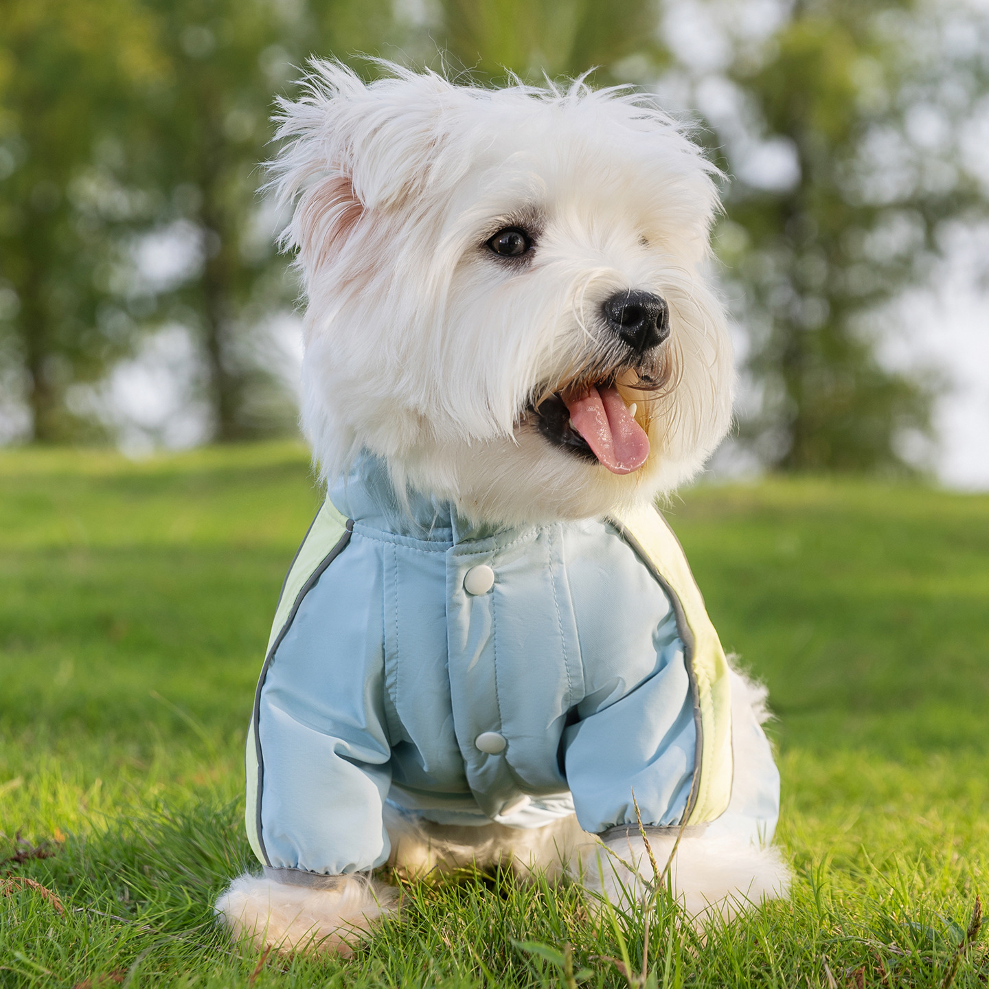 Otoño y invierno nuevo explorador tres cuatro patas de asalto abrigo de algodón caliente perros pequeños y medianos perros gatos que ropa de oso image 3
