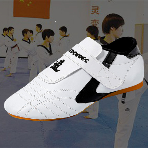 Taekwondo Shoes for Children (Girls) and Adults, Summer Taekwondo Shoes for Men, Soft Sole, Breathable Martial Arts Shoes, Training and Gungdo Shoes
