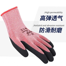 �¼������ׄڱ���ĥ����͸�����z�l�����z�������������I����