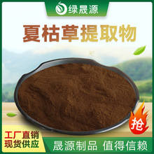 夏枯草提取物 50:1 水提夏枯草粉 棒头草/白花草/夏枯草提取物