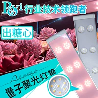 ♡ Светодиодная лампа полного спектра Succulent Fill Light для домашних комнатных цветов, предотвращающая рост растений и имитирующая солнечный свет
